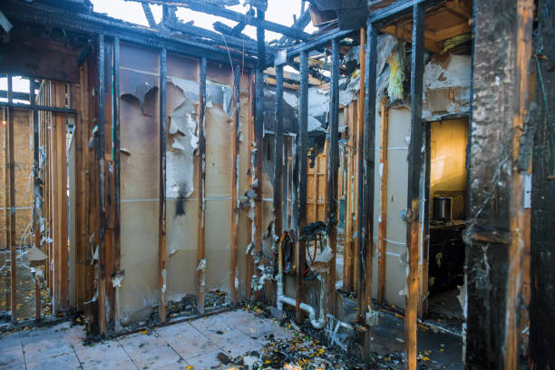 Professional Fire Damage Removal technician working in Eureka, MT